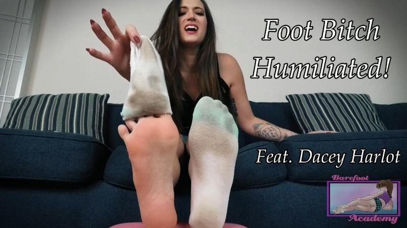 Cover Dacey Harlot - Foot Bitch Humiliated - BarefootAcademy, ManyVids