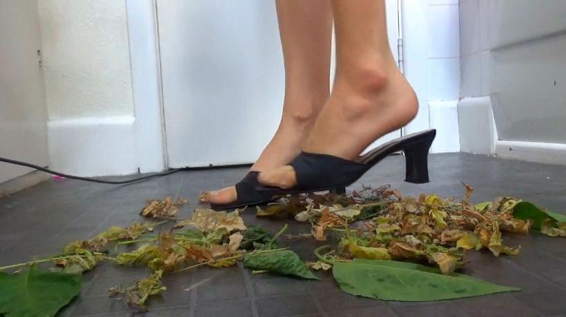 Cover Goddess Vanessa - Vacuuming Leaves In Mules - ManyVids
