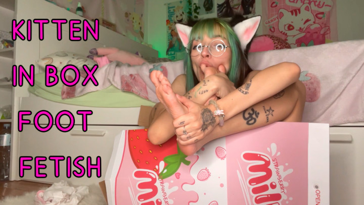 Cover cutielanalova - Petplay Kitten In Box Lick Feet - ManyVids