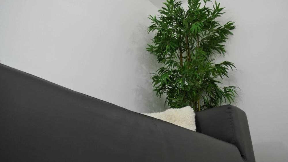 Cover 10 Days Worn Socks - Your Dream Coming True! - Madame Marissa